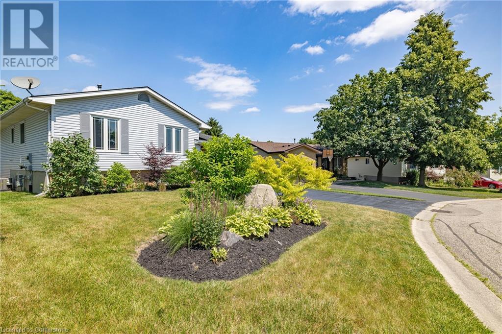 167 CLARENCE Avenue