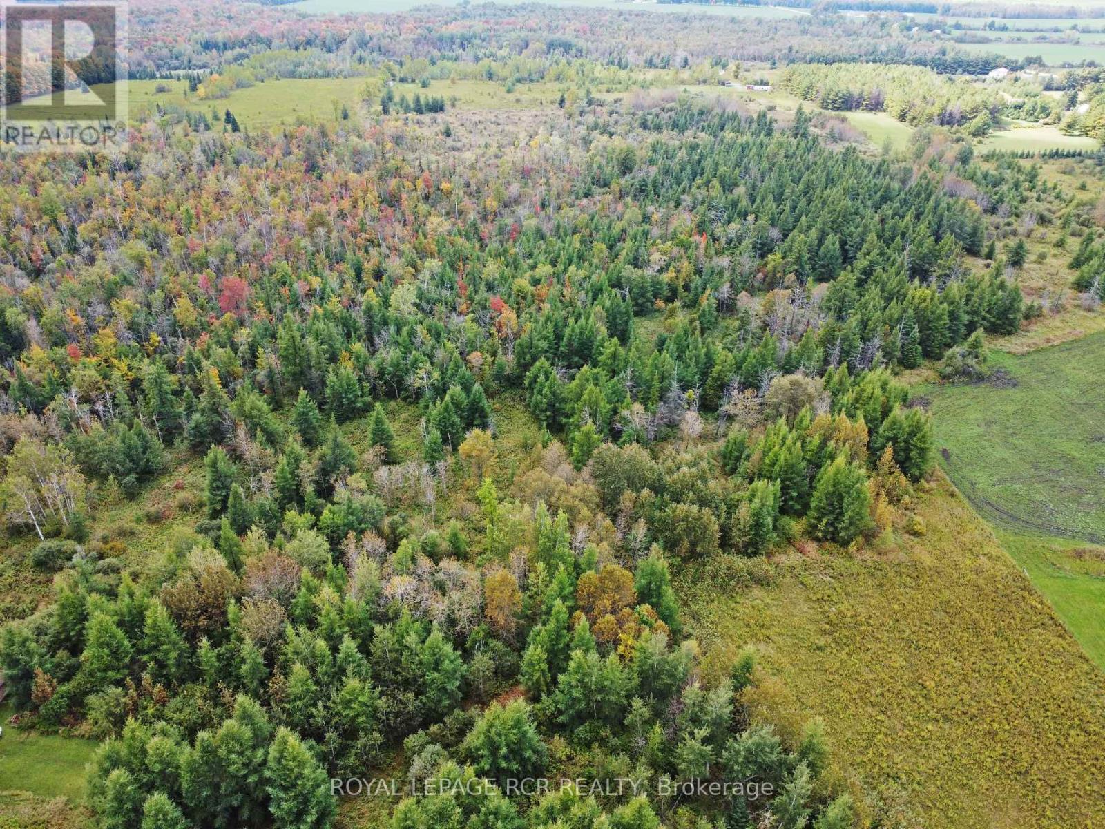 1125XX GREY ROAD 14 ROAD