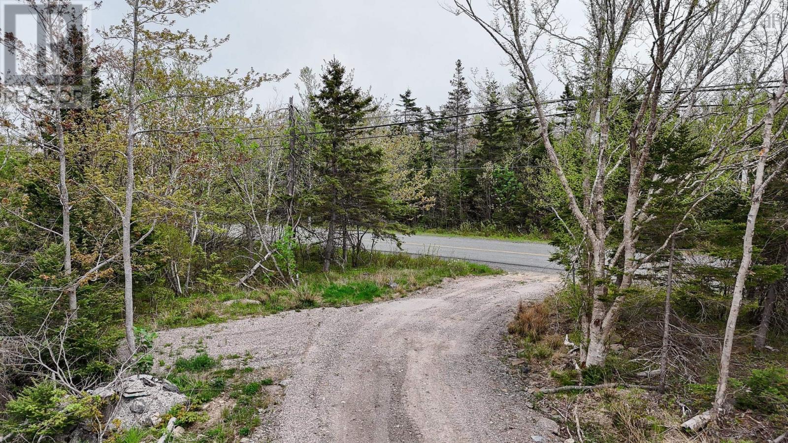 Birch Grove Road