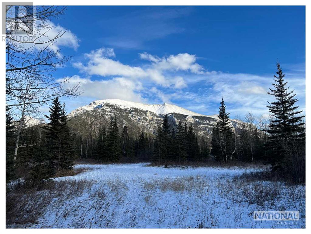 300 & 302 Bow Valley Trail