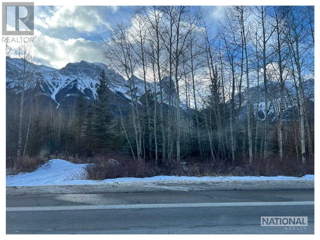 300 & 302 Bow Valley Trail