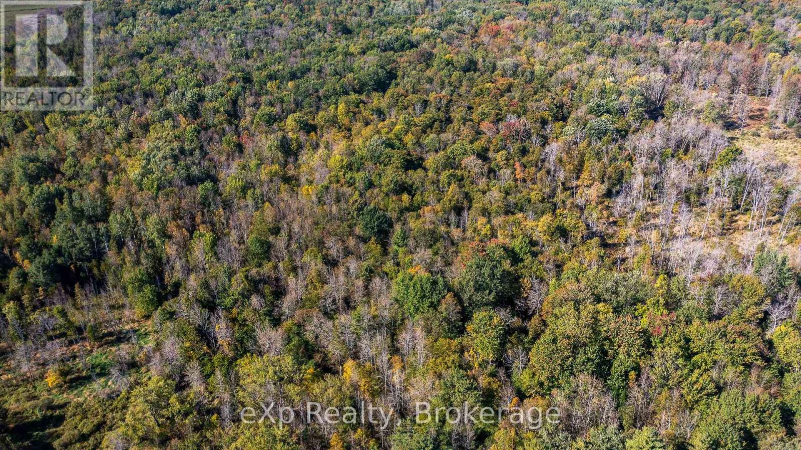 NE 1/4  LT 3 CONC 10 SIDEROAD 3