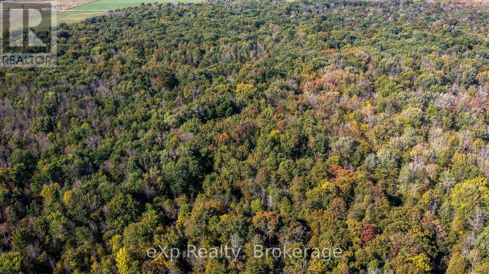 NE 1/4  LT 3 CONC 10 SIDEROAD 3