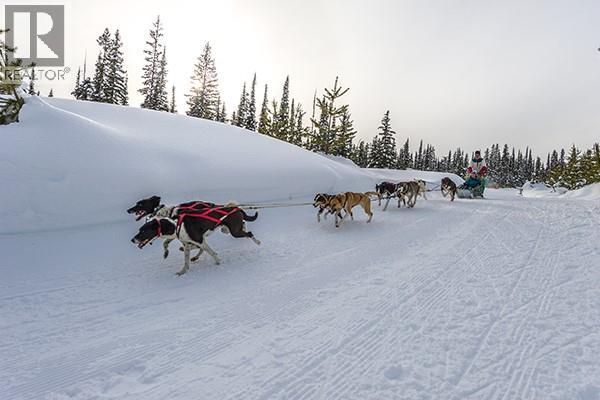 Lot 2 Black Forest Road Lot# 2