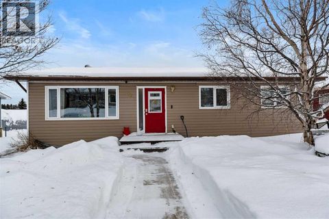 11 Hillside Avenue Swan Hills AB T0G2C0