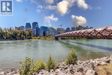 417, 738 3 Avenue SW Calgary AB T2P0J7