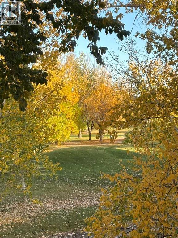 7204, 14 Hemlock Crescent SW