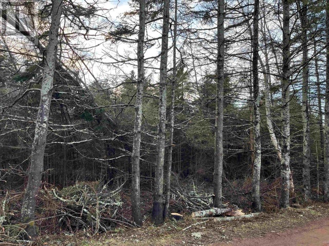 LOT 9 BIRDS EYE Drive