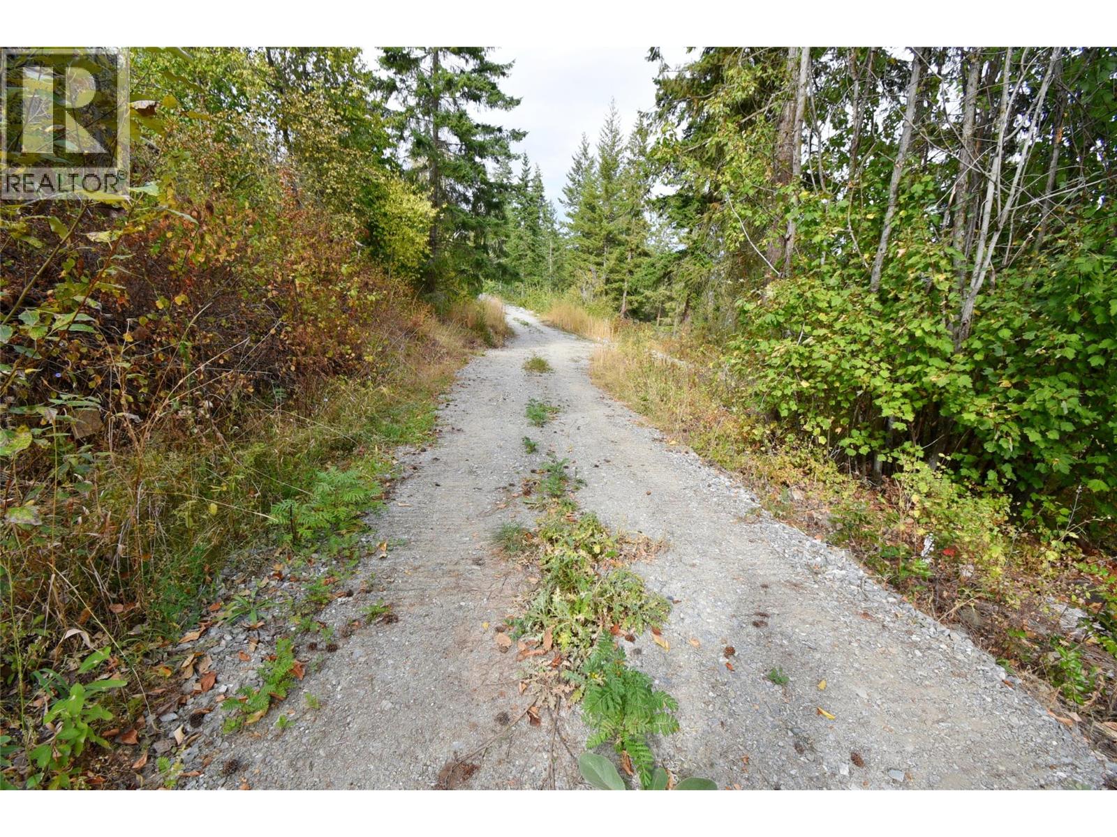 243 Crooked Pine Road