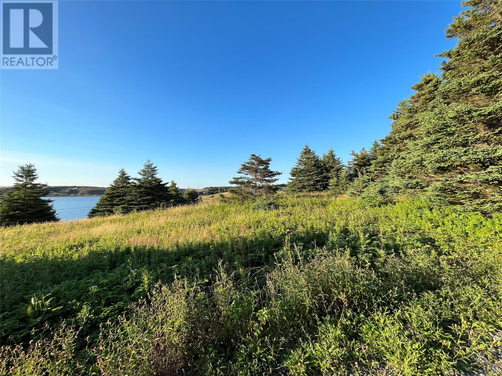 117 Cape Shore Highway