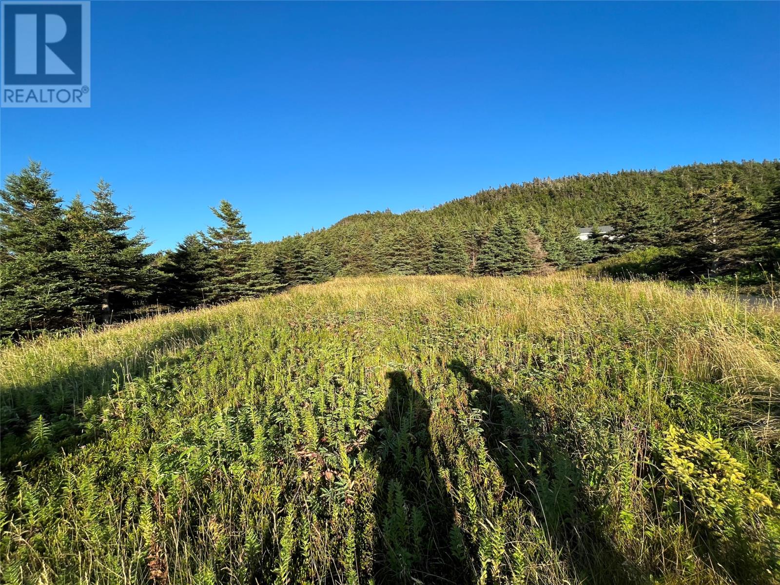 117 Cape Shore Highway