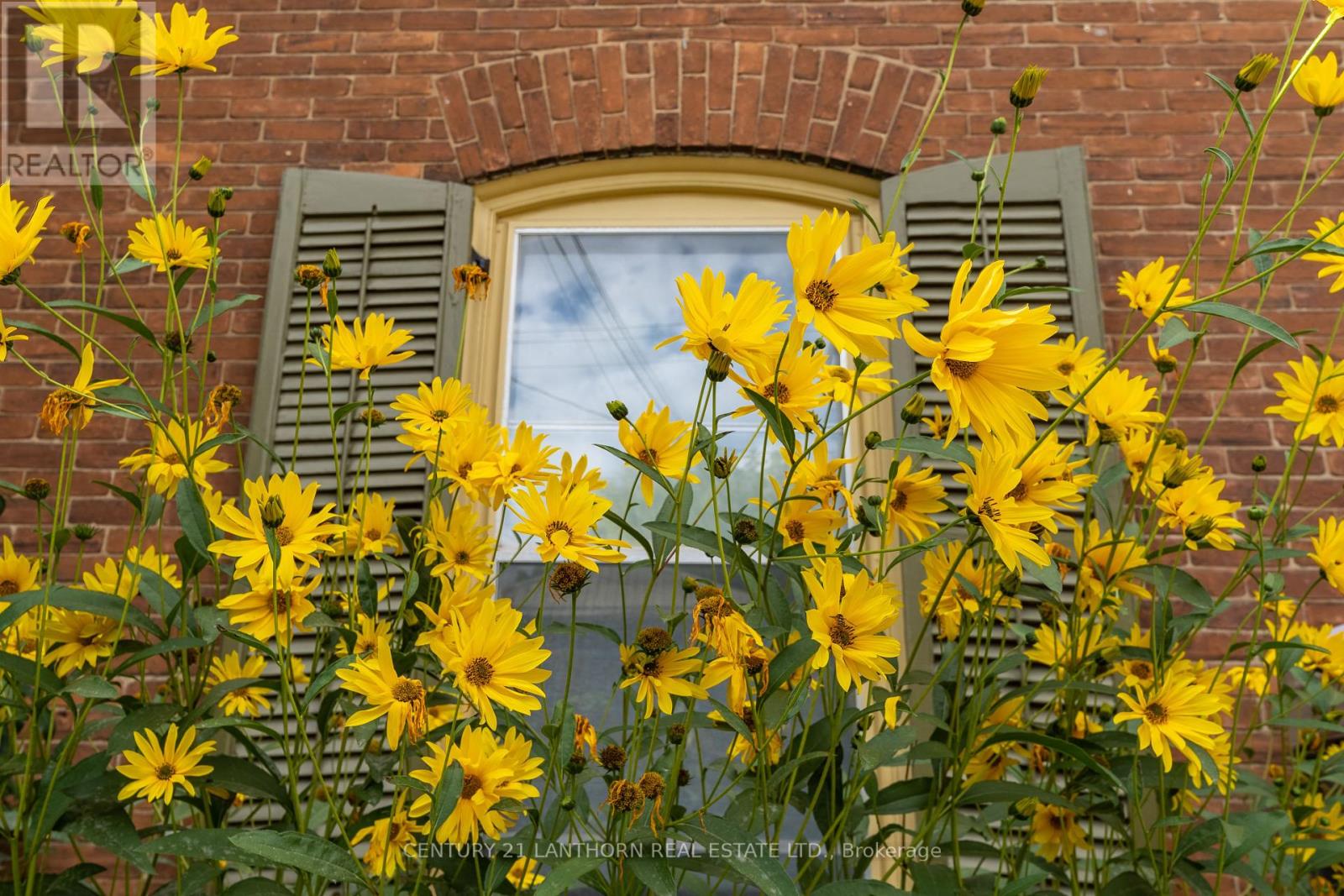 56 MARY STREET