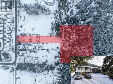 1918 Camozzi Road Revelstoke BC V0E2S0