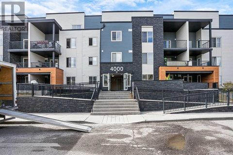 4203, 1317 27 Street SE Calgary AB T2A4Y5