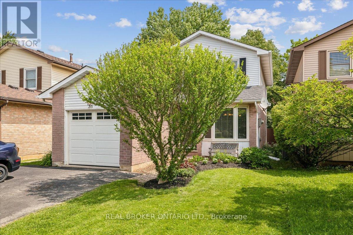 36 BRAEHEID AVENUE