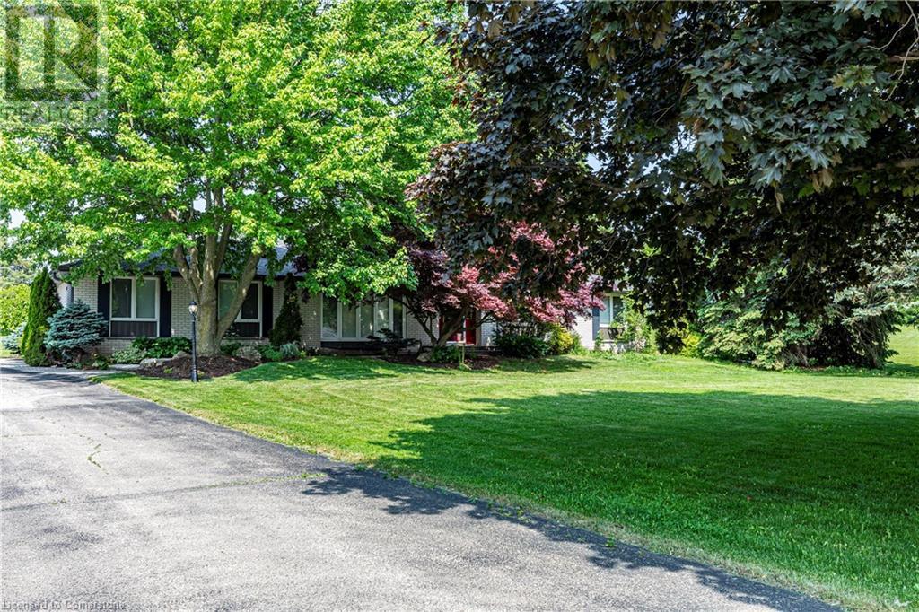 4245 CEDAR SPRINGS Road
