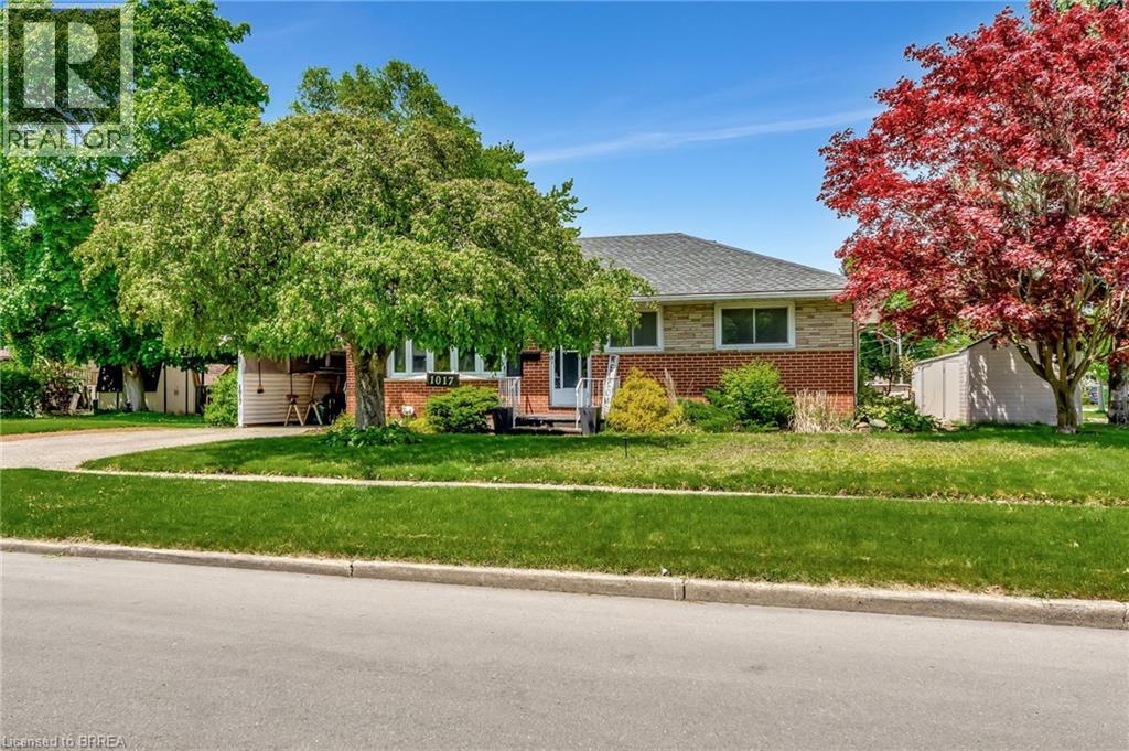 1017 BRAESIDE Street