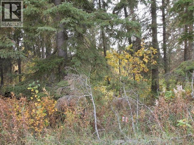 Lot 25 Bodnar Road