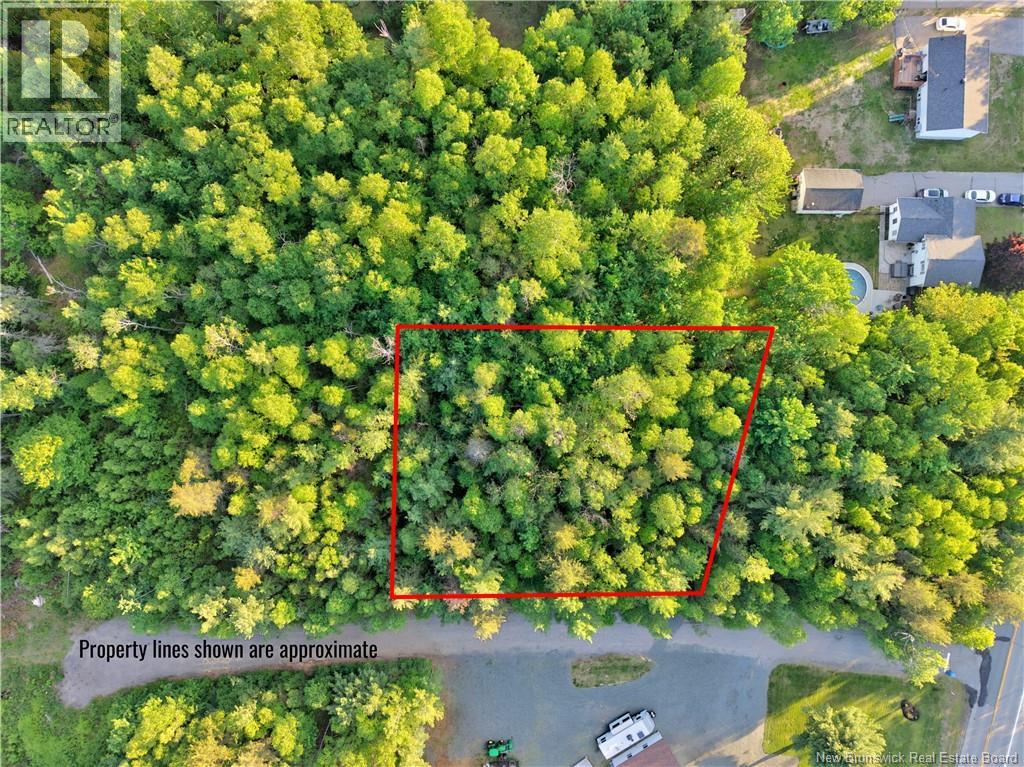 LOT Lutton Lane