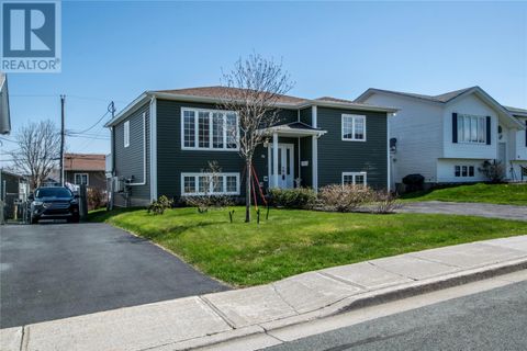 73 Michener Avenue Mount Pearl NF A1N4B7