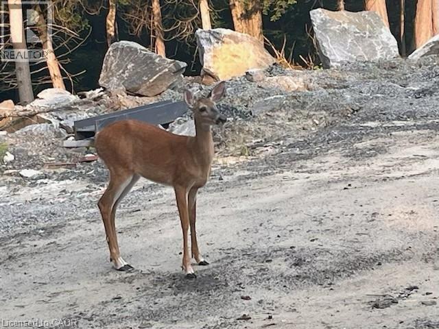 12407 COUNTRY ROAD 503