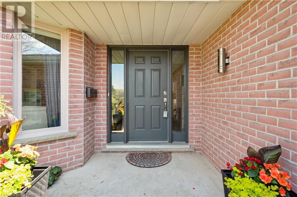 15 TRELAWNEY Street