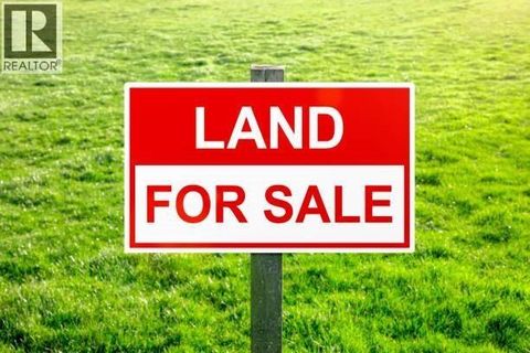56 Clarkes Hillview Paradise NF A1L3B8