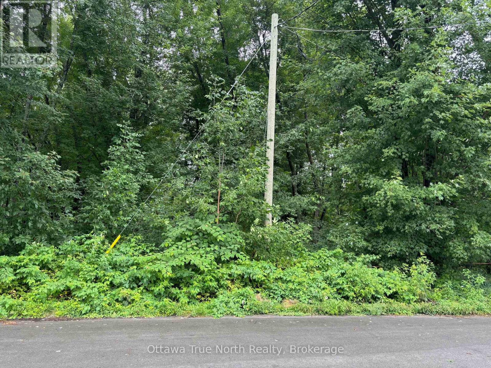 101 ALLBIRCH ROAD