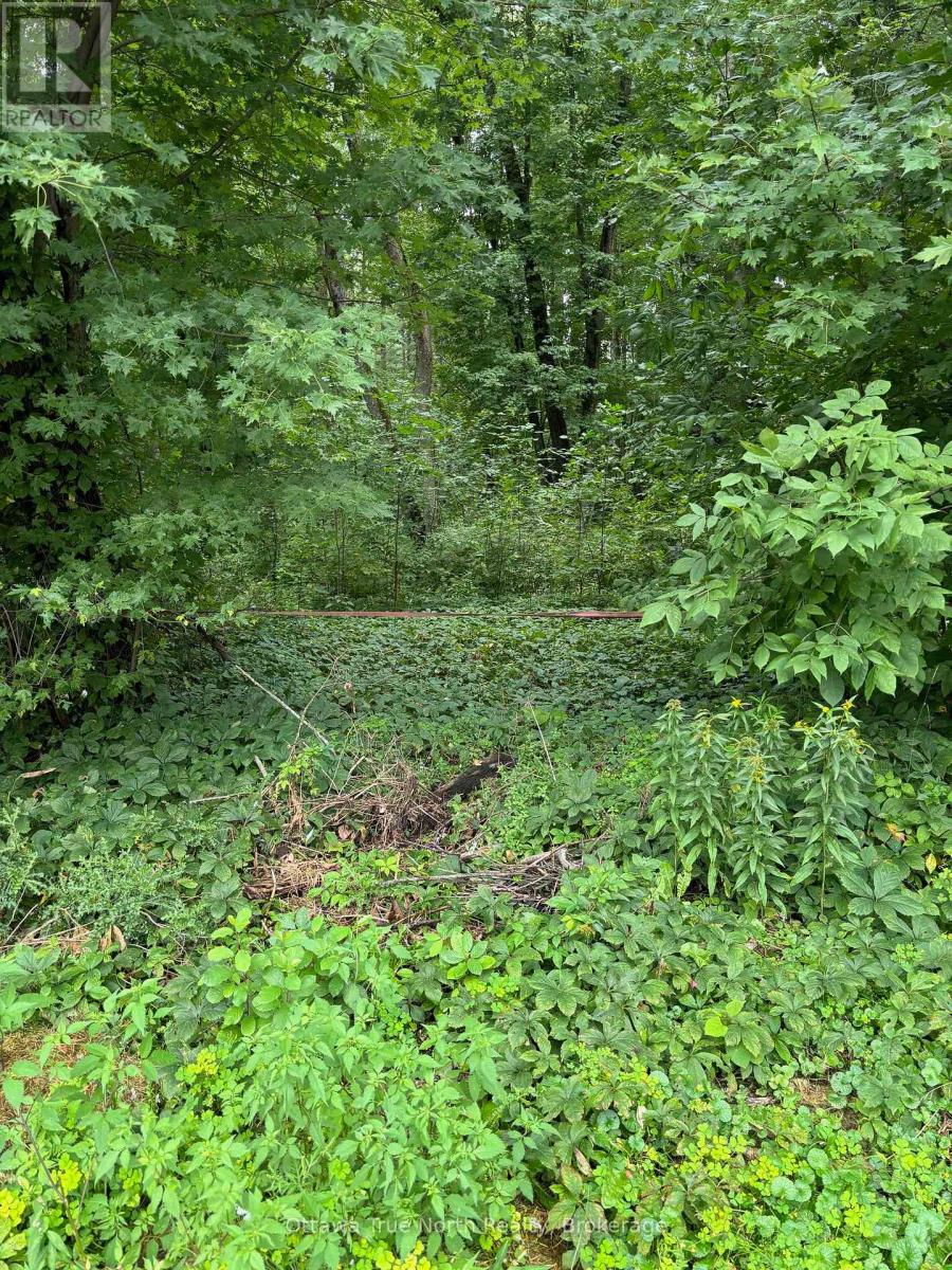 101 ALLBIRCH ROAD