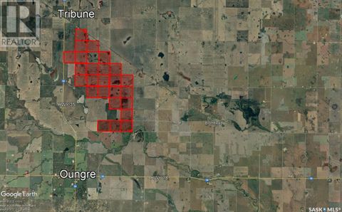 25 Quarter Sections - Rm Souris Valley Souris Valley Rm No. 7 SK S0C0E6