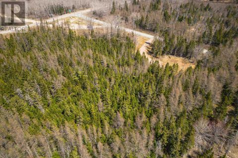Lot 6 Highway 4 Cleveland NS B0E1J0