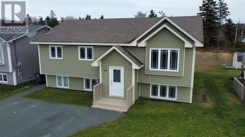 53 Dunns Hill Conception Bay South NF A1X7W3