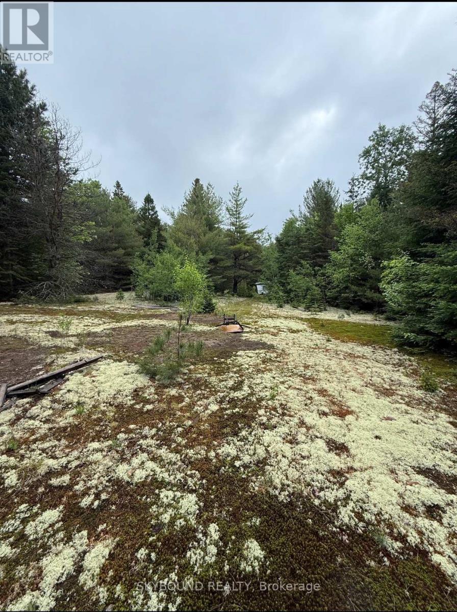 Photo 1 of 10 — 92 MCALPINE ROAD, Hastings Highlands (Monteagle Ward), ON K0L2S0