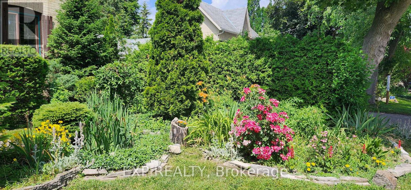 181 WILDWOOD AVENUE