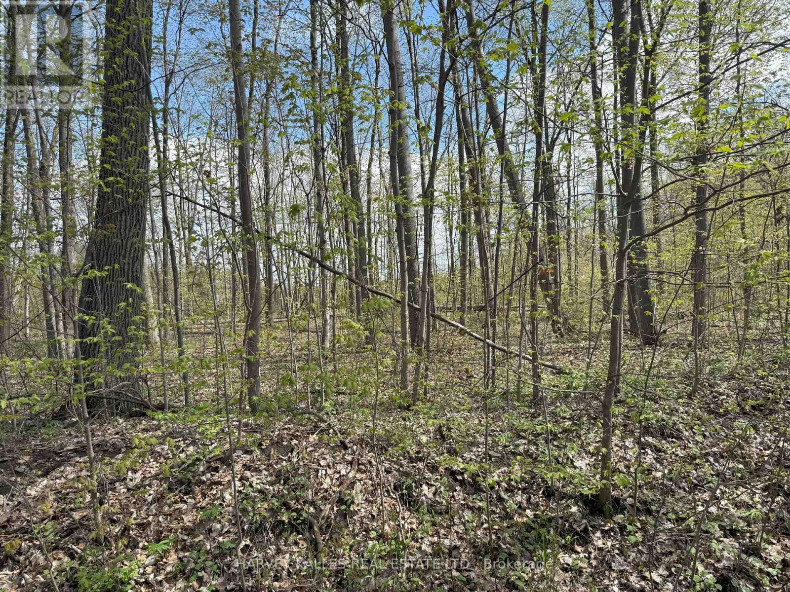 0 OAKWOOD LANE
