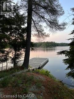 431 HEALEY LAKE