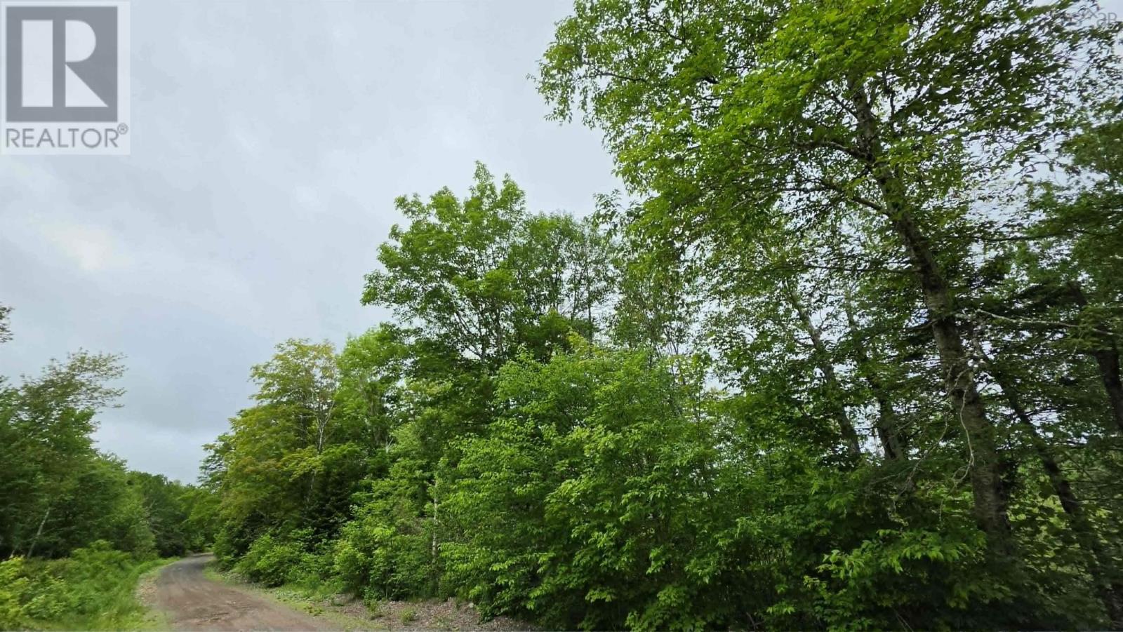 Ohio East Side Road