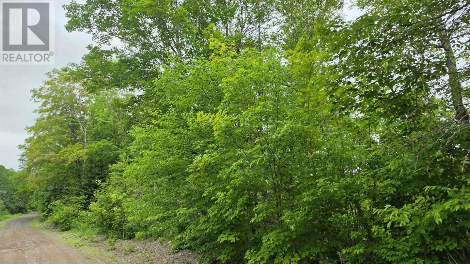 Ohio East Side Road