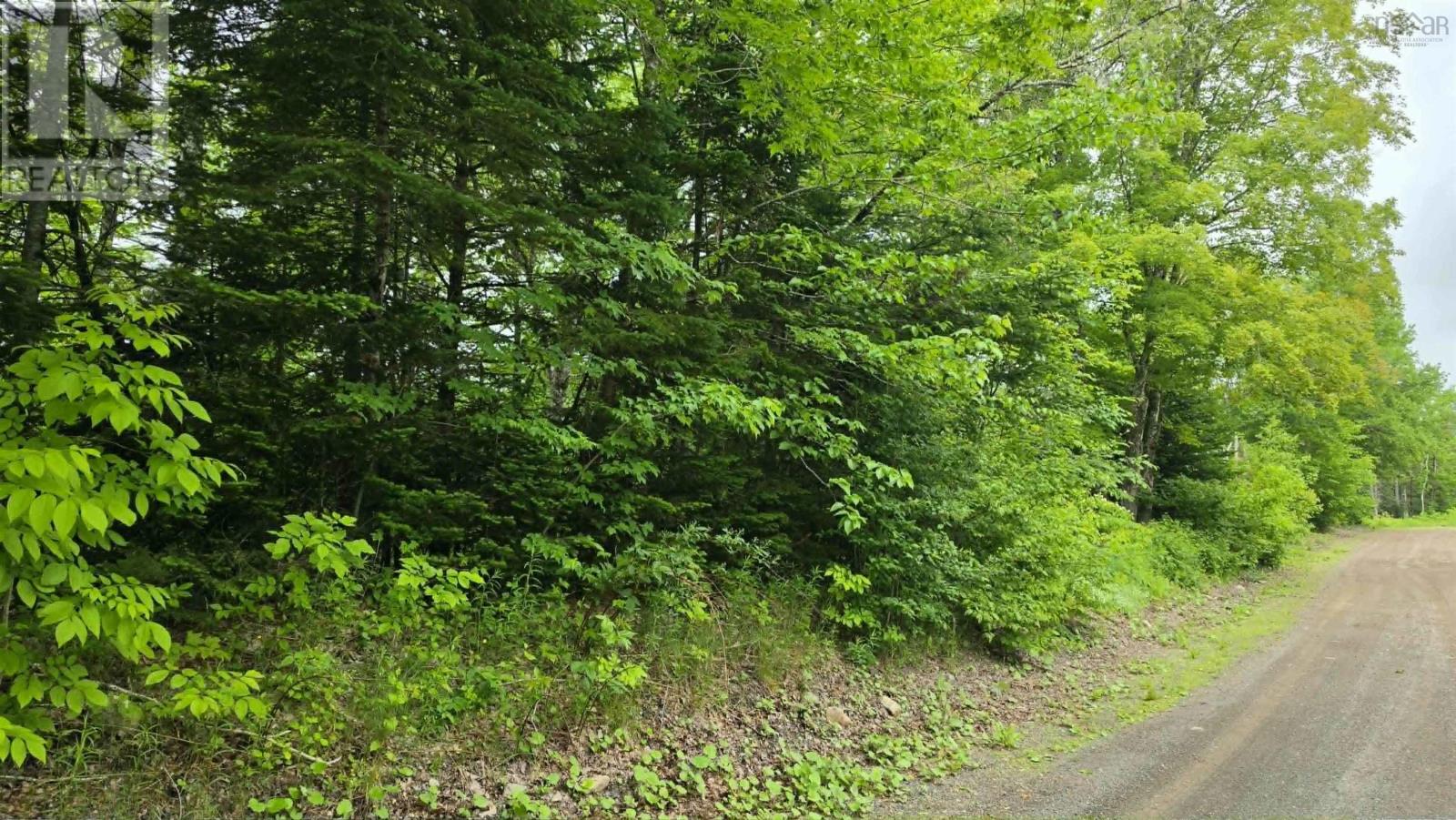 Ohio East Side Road