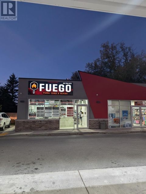 87 GARAFRAXA STREET Chatsworth ON N0H1G0