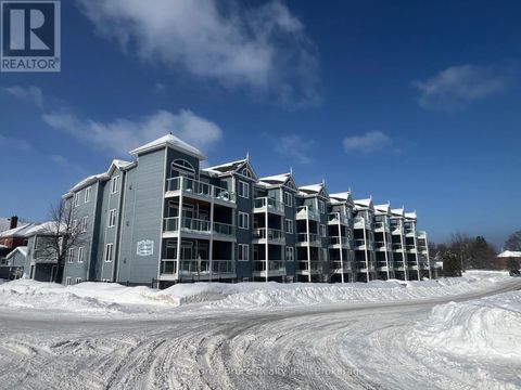 308 - 34 BAYFIELD STREET Meaford ON N4L1Y2