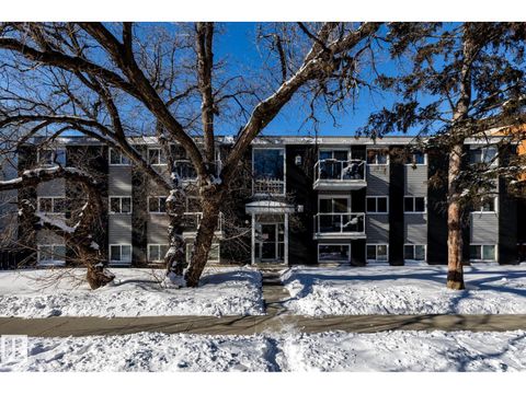 #15 10620 122 ST NW Edmonton AB T5N1M8