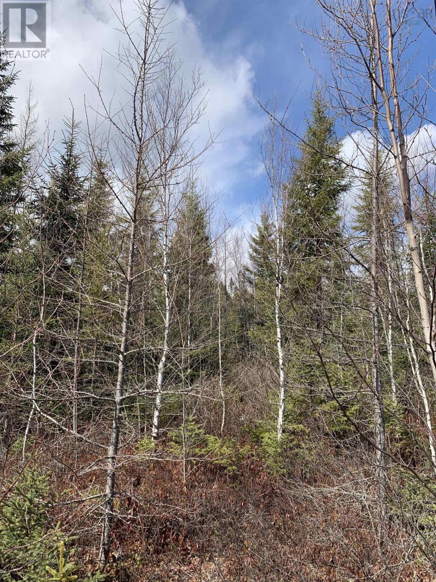 Photo 1 of 9 — Lot Hunter West Road|Wentworth Valley Preserve, Wentworth Valley, NS B0M1Z0