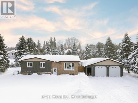 230 SAUGEEN STREET Grey Highlands ON N0C1K0