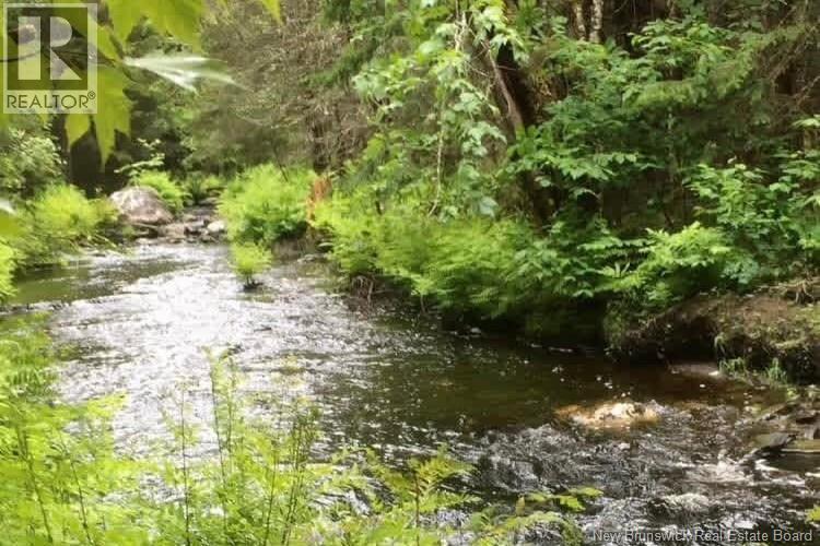 0 Digdeguash River - Photo 3