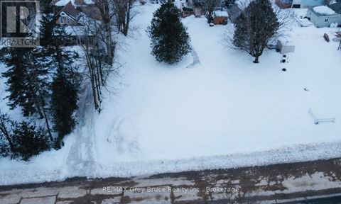 PT LOT 2 2ND AVENUE Arran-Elderslie ON N0G1L0