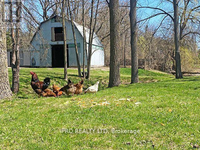 7454 OLD CHURCH ROAD