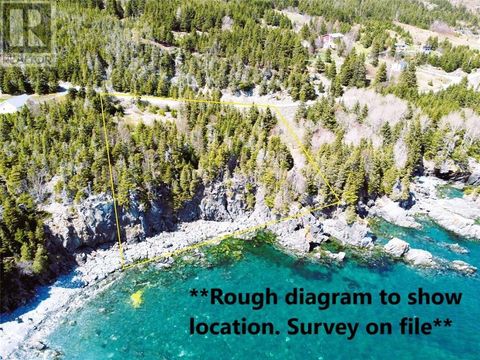100-114 Cove Road Bryants Cove NF A0A3P0