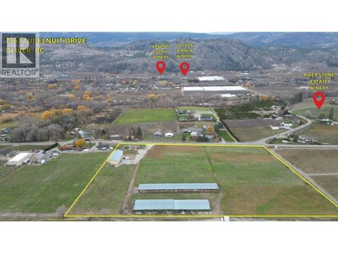 7361 Tucelnuit Drive Oliver BC V0H1T2