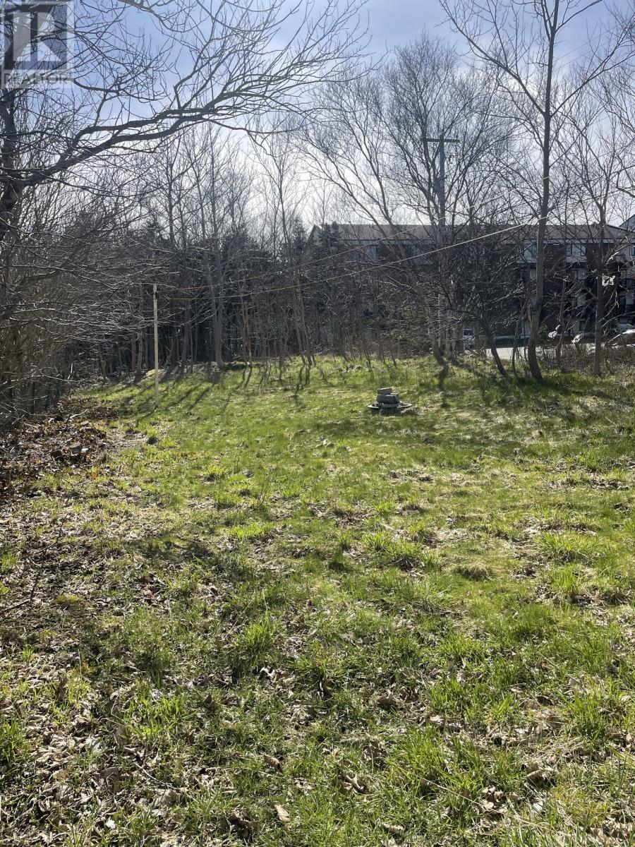 367 Torbay Road